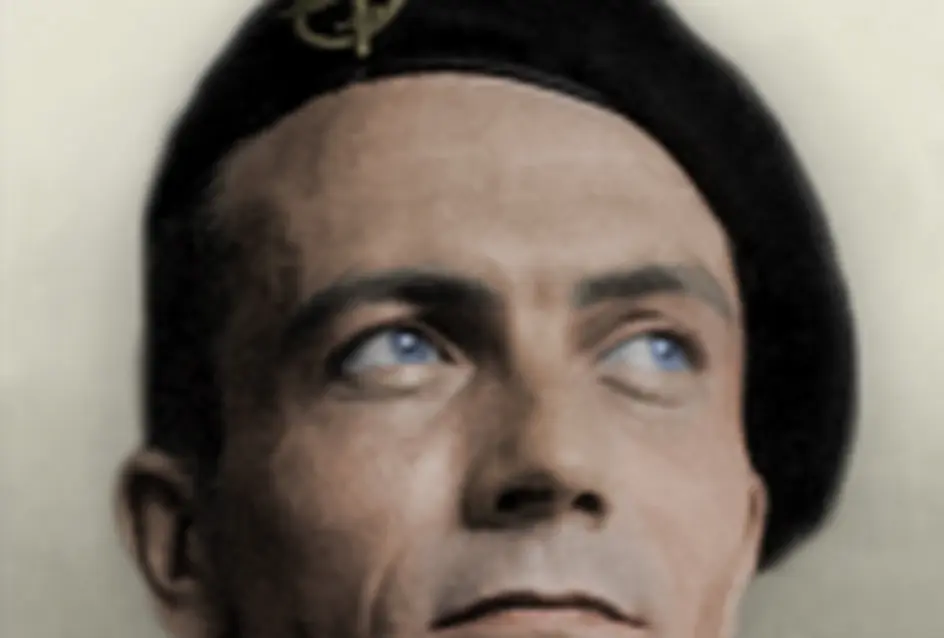 Cover image for Die NATO und der rechtsextreme Staatsterror