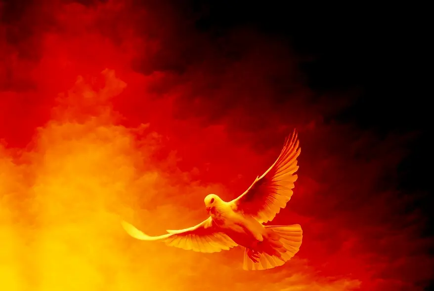 Cover image for Eine Brandmauer mitten durch den Frieden