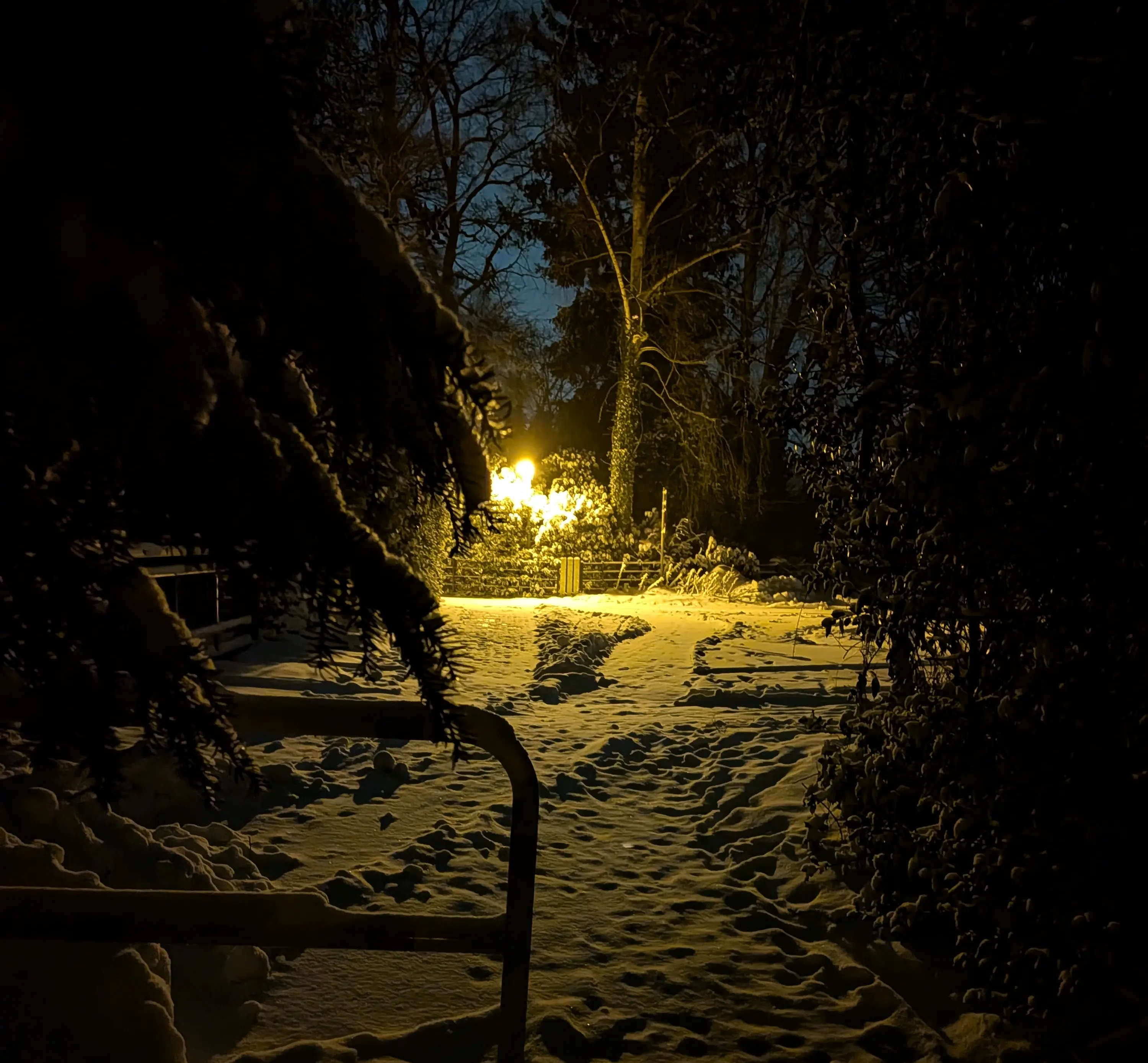 Cover image for Winterdichtung