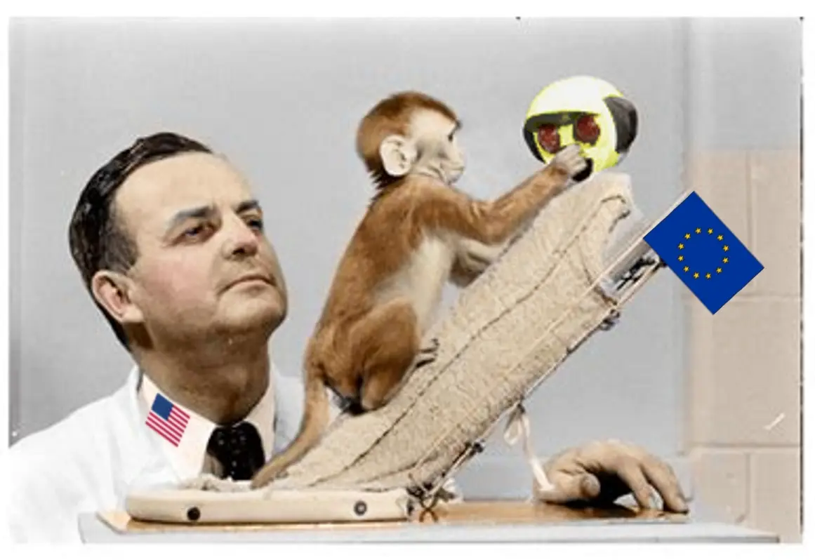 Cover image for Lass mal über Affen reden