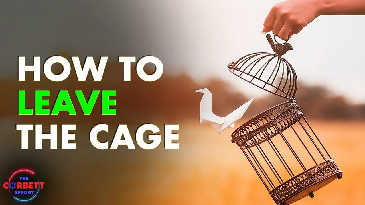 Cover image for How to Leave the Cage - #SolutionsWatch | The Corbett Report