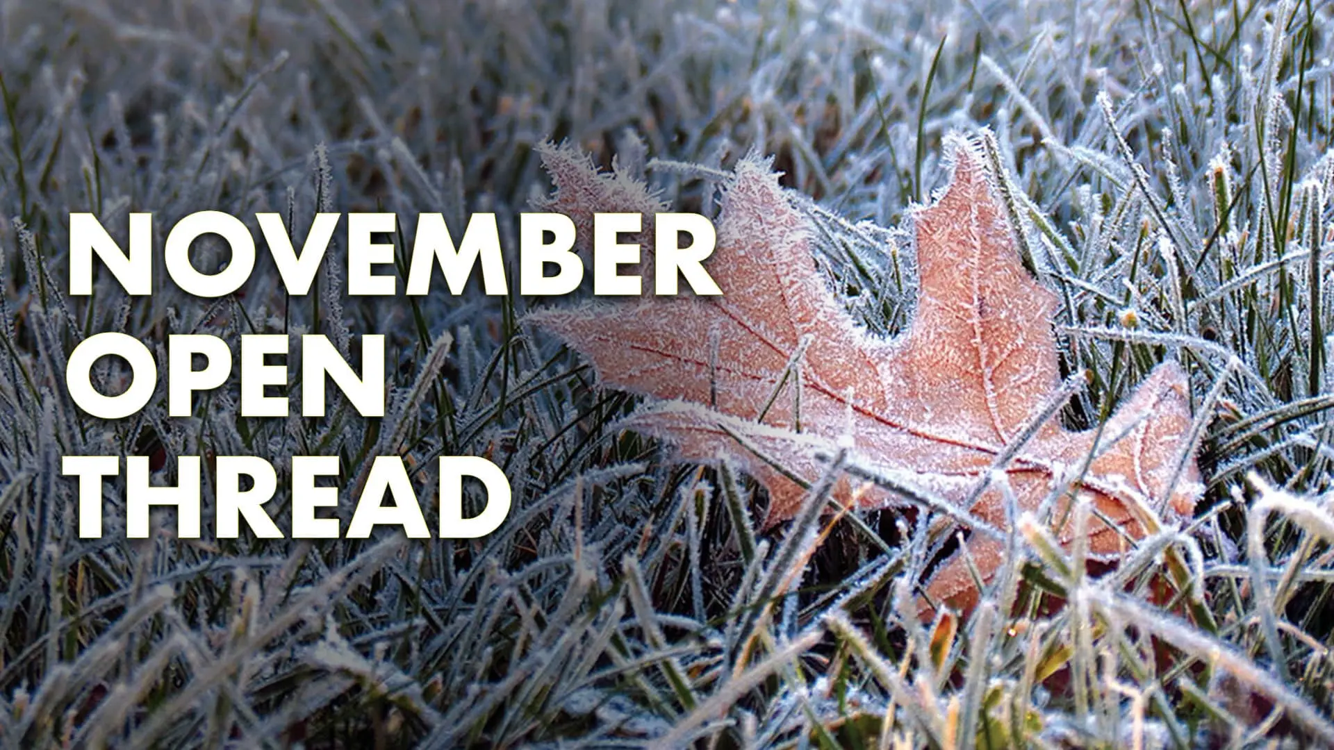 Cover image for November Open Thread and Subscriber Exclusive Video (2025)