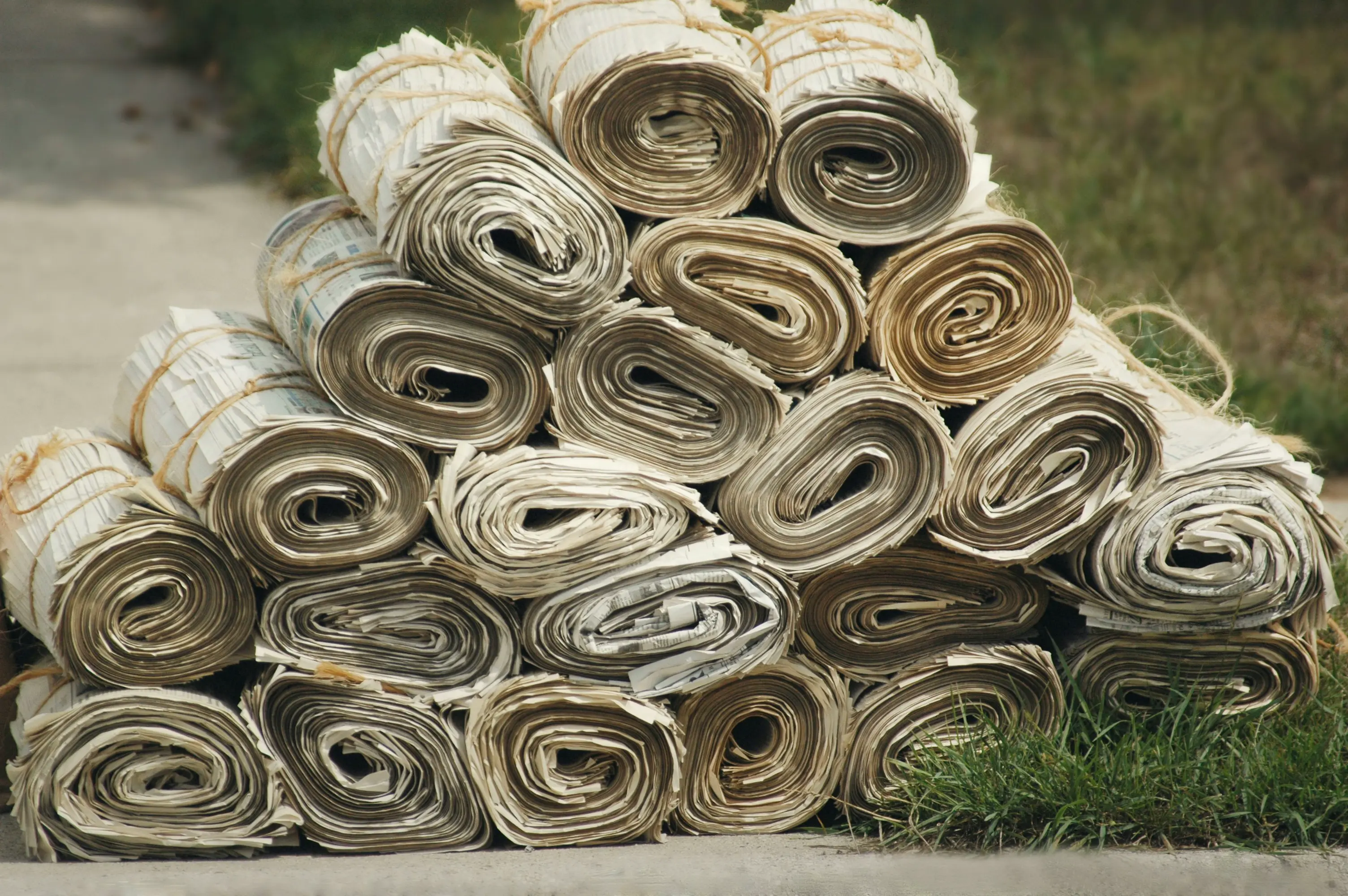 Cover image for Journalism is dead. Long live ...