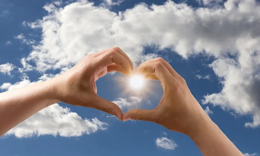 Cover image for Die Hoffnung stirbt zuletzt