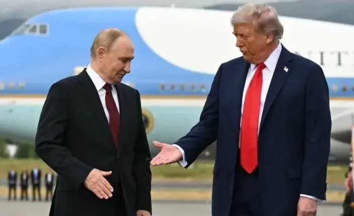 Cover image for The Rise of a New World Order