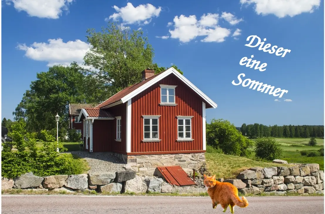 Cover image for Dieser eine Sommer