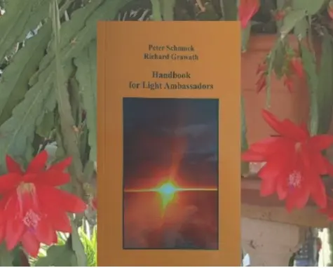 Cover image for Publikationen zur Regionalgesellschaft: Handbuch für Lichtbotschafter