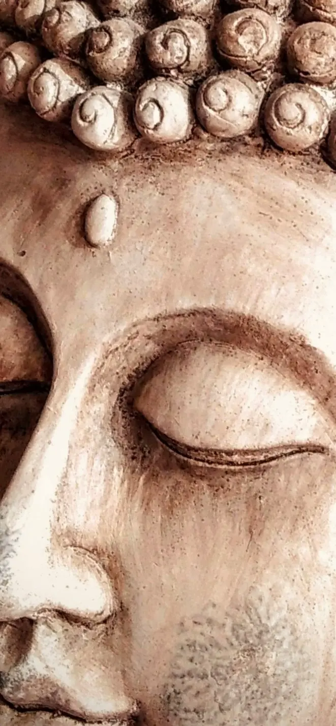 Cover image for Schuld ist eine Illusion