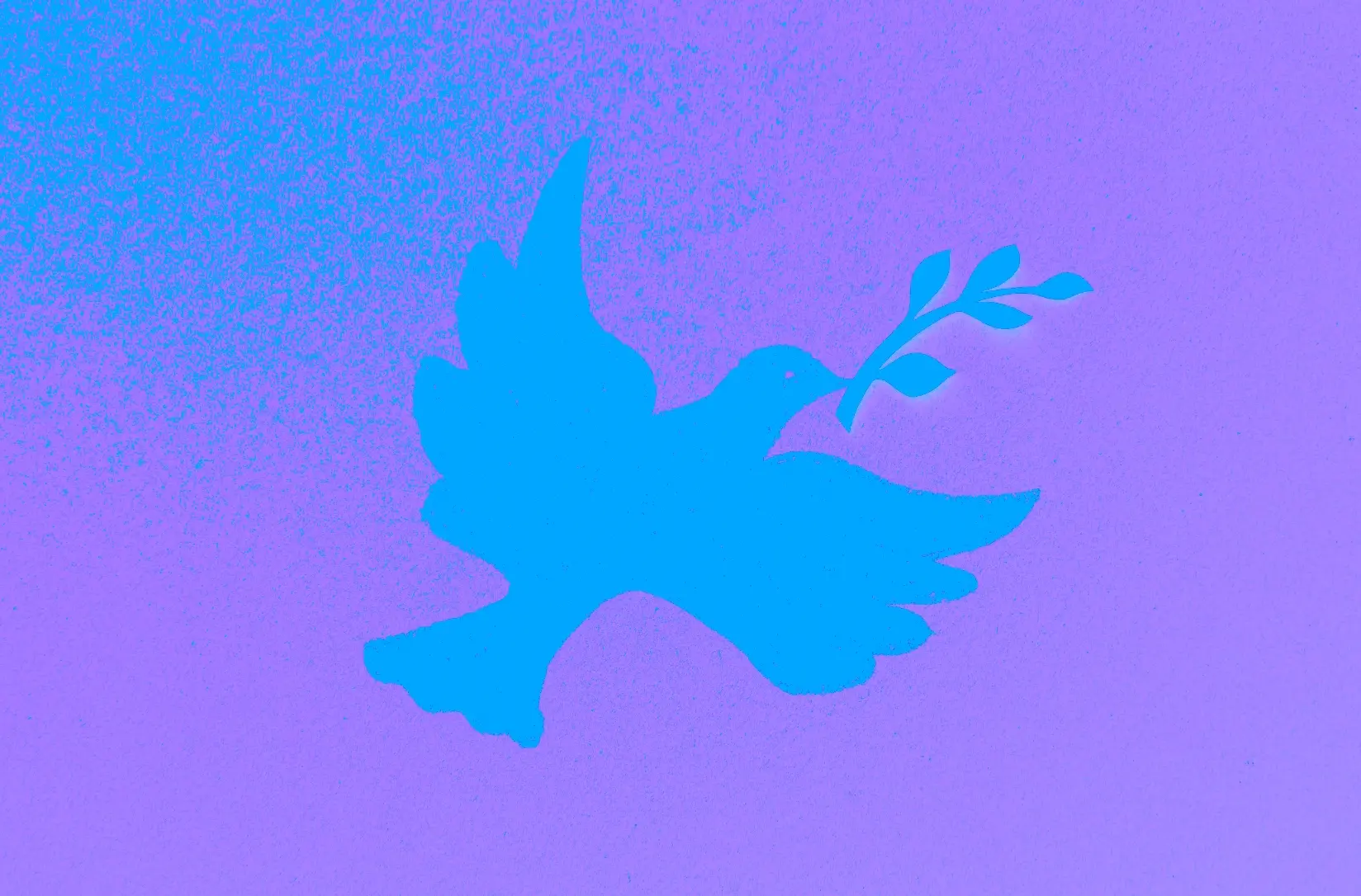 Cover image for Verengung führt zu Verdunkelung – und schwächt eine Friedensbewegung