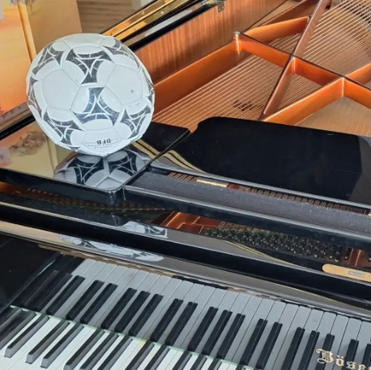 Cover image for Musik und Fußball 