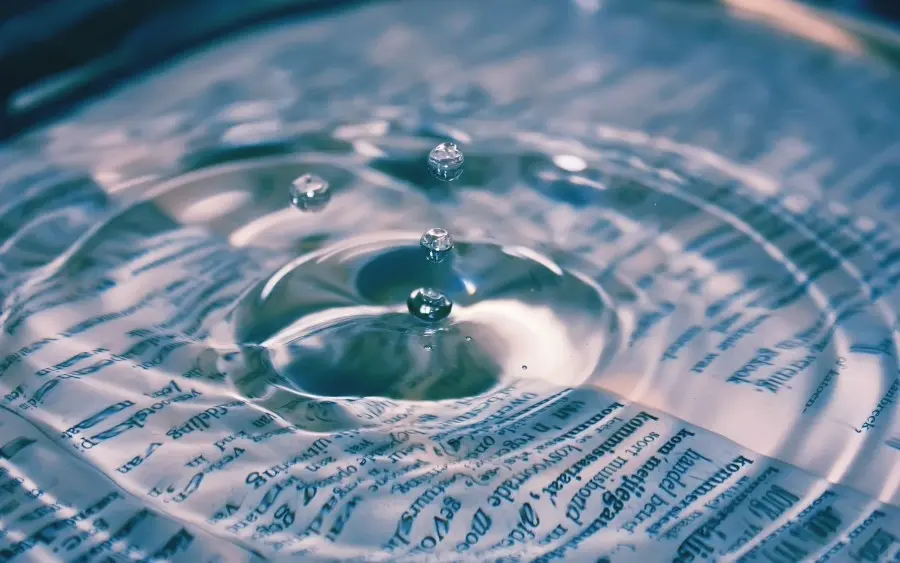 Cover image for Versagen, vertuschen und enthüllen