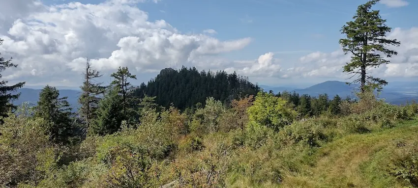 Cover image for Freie Medienakademie XXII