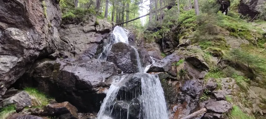 Cover image for Freie Medienakademie XX