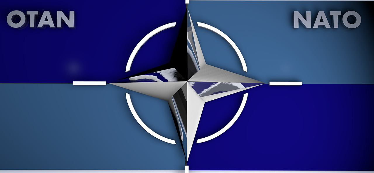 Cover image for NATO