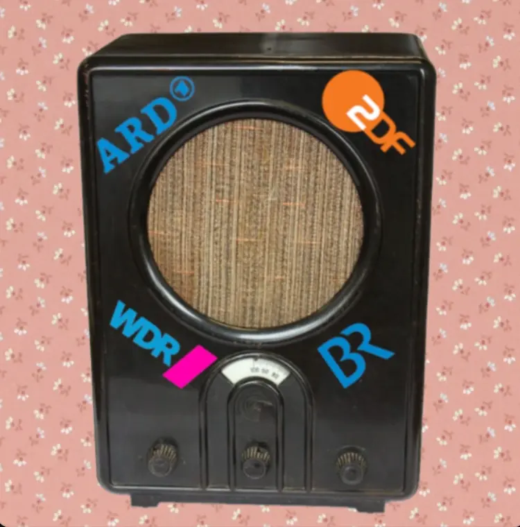 Cover image for Staatsfunk