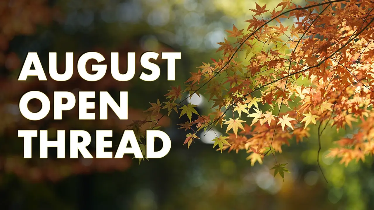 Cover image for August Open Thread and Data Leak Update (2025)