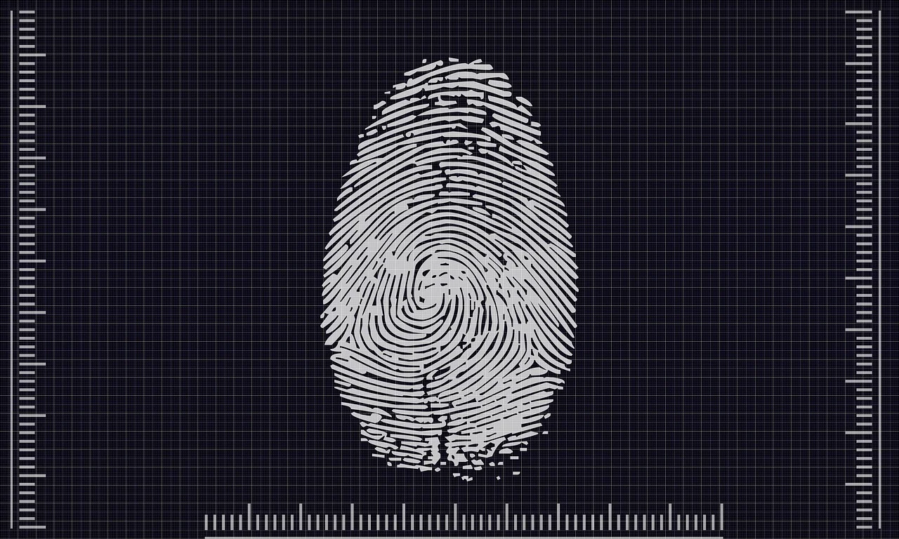 Cover image for Das allmähliche Heraussaugen der menschlichen Individualität, Teil 2