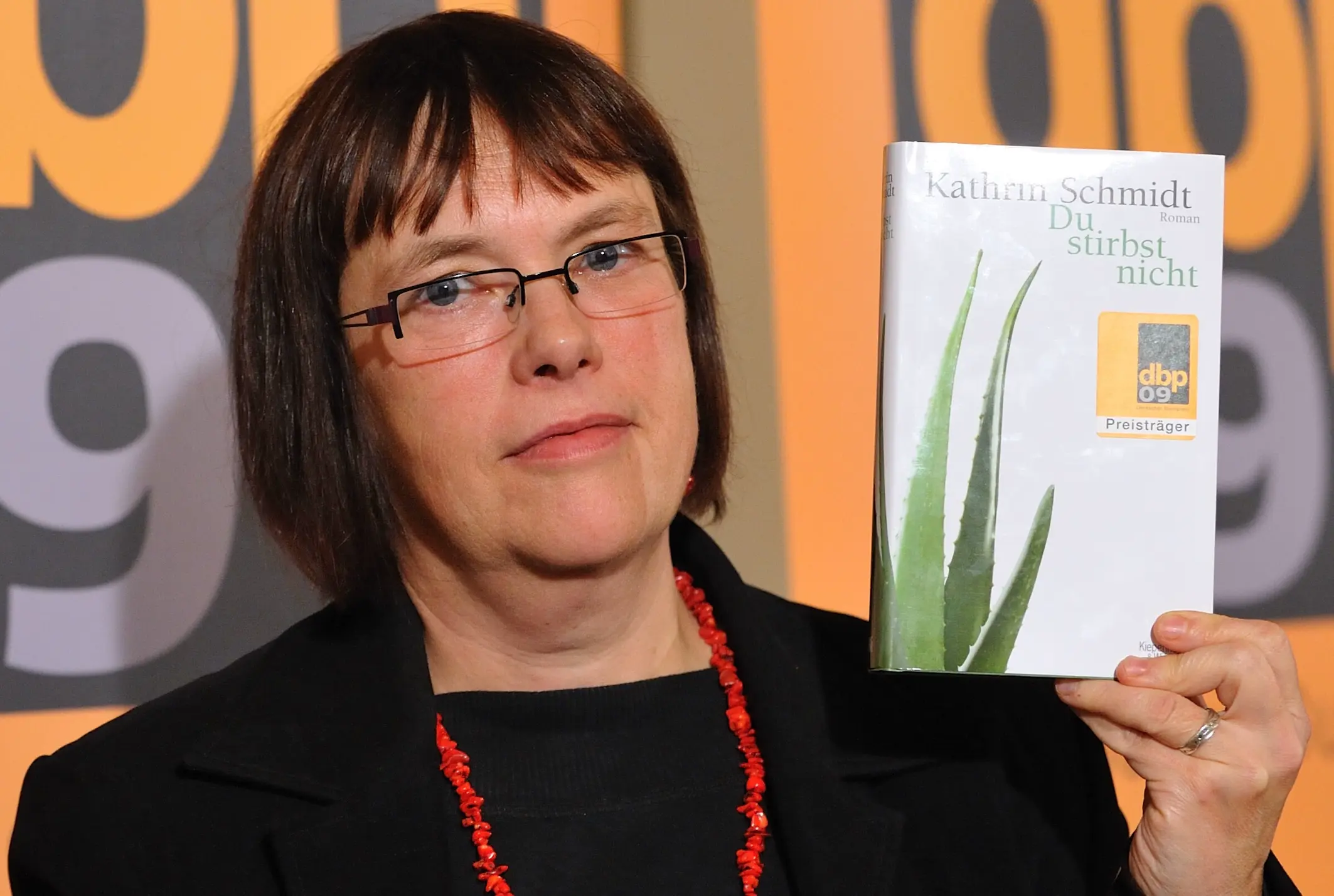 Cover image for Schmidt, Bernig, Kafka