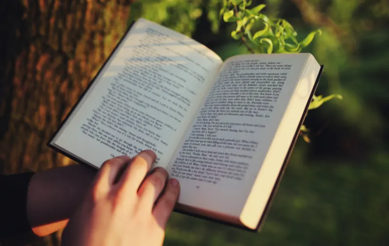 Cover image for Lernen aus der Vergangenheit 