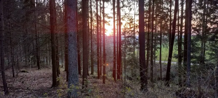 Cover image for Freie Medienakademie XI