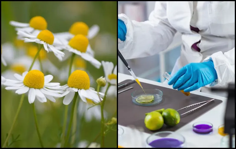 Cover image for Bio-logisch vs techno-logisch