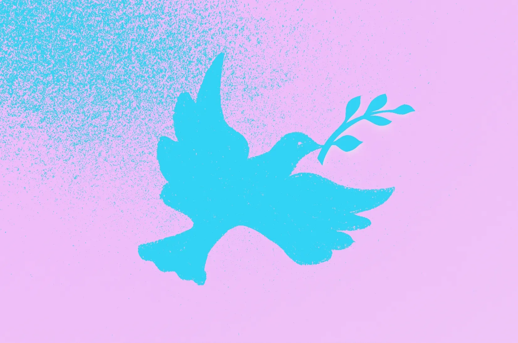 Cover image for Verengung führt zu Verdunkelung – und schwächt eine Friedensbewegung