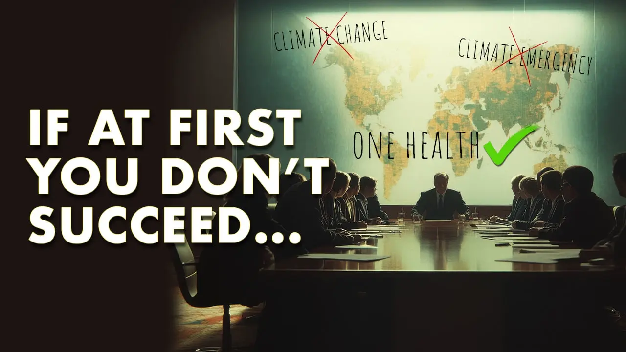 Cover image for If At First You Don't Succeed . . .