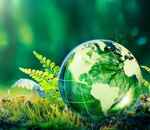 Cover image for Psychologie und Regionalgesellschaft