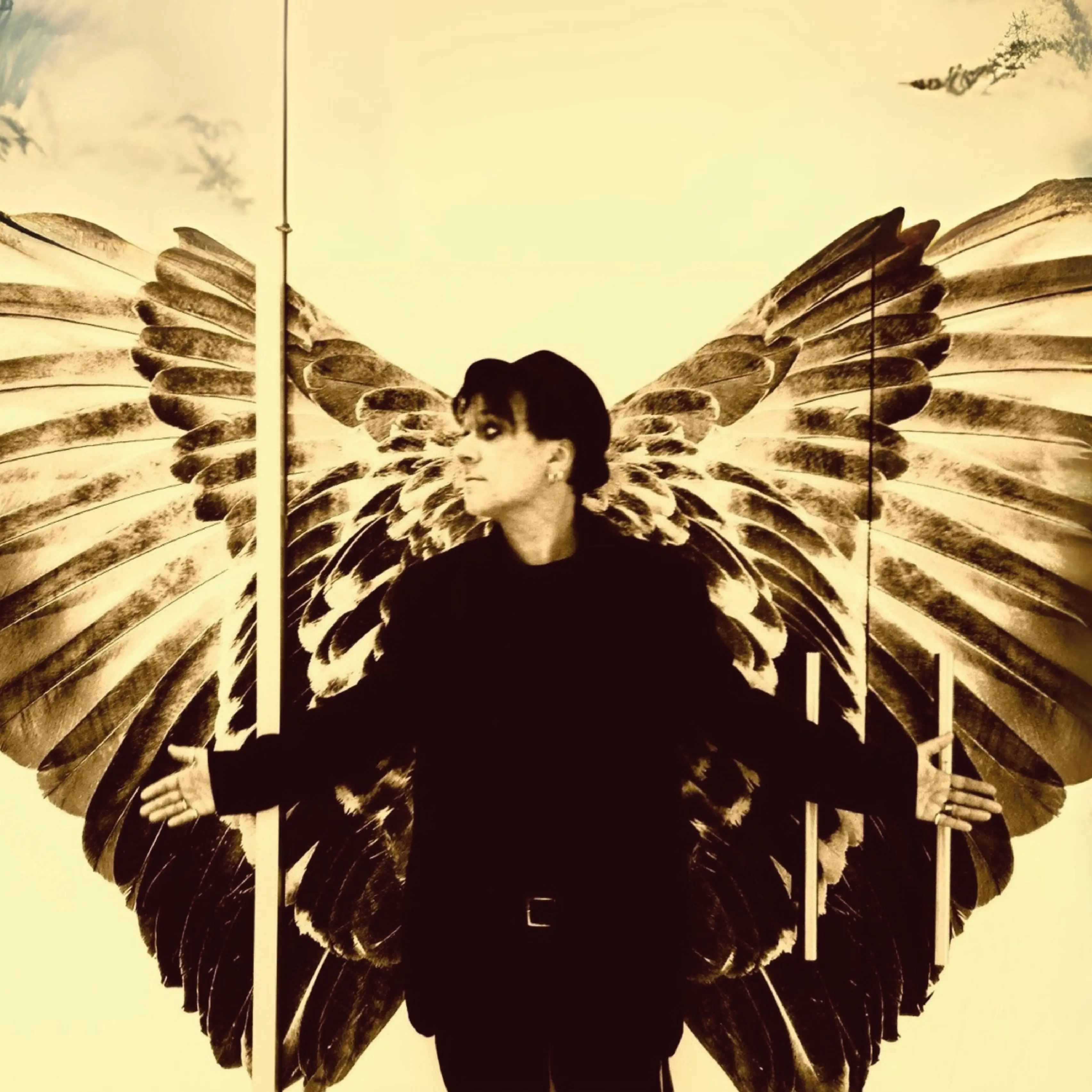 Cover image for Die Pandemie der Einsamkeit und das Sprungbrett ins All 