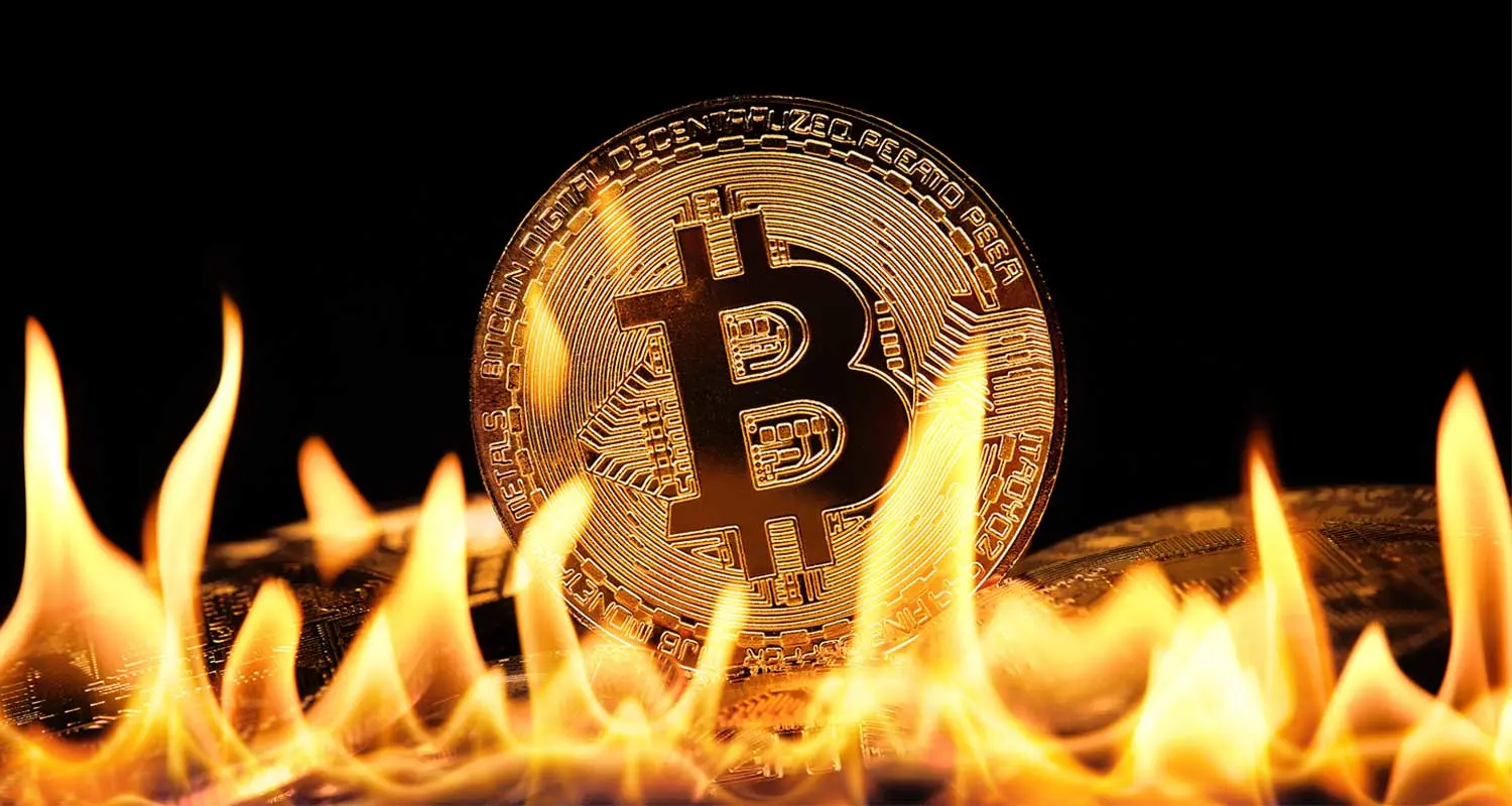 Cover image for Burning Bitcoin as a radical gesture for the whole