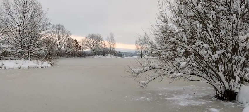 Cover image for Freie Medienakademie XII