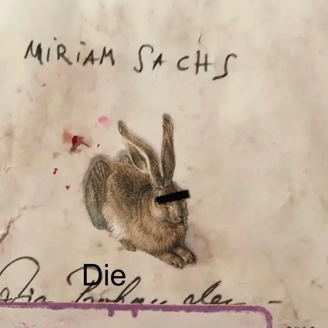 Cover image for Von Risiken und Nebenwirkungen