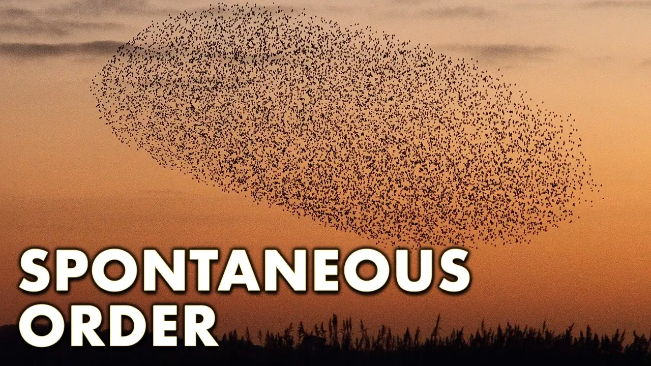 Cover image for A Brief Introduction to Spontaneous Order