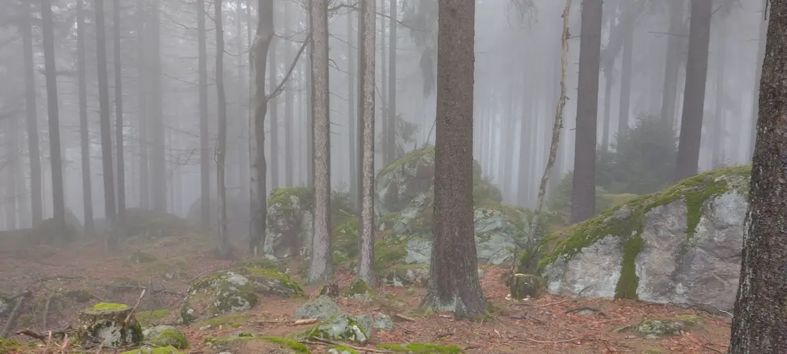 Cover image for Freie Medienakademie VII