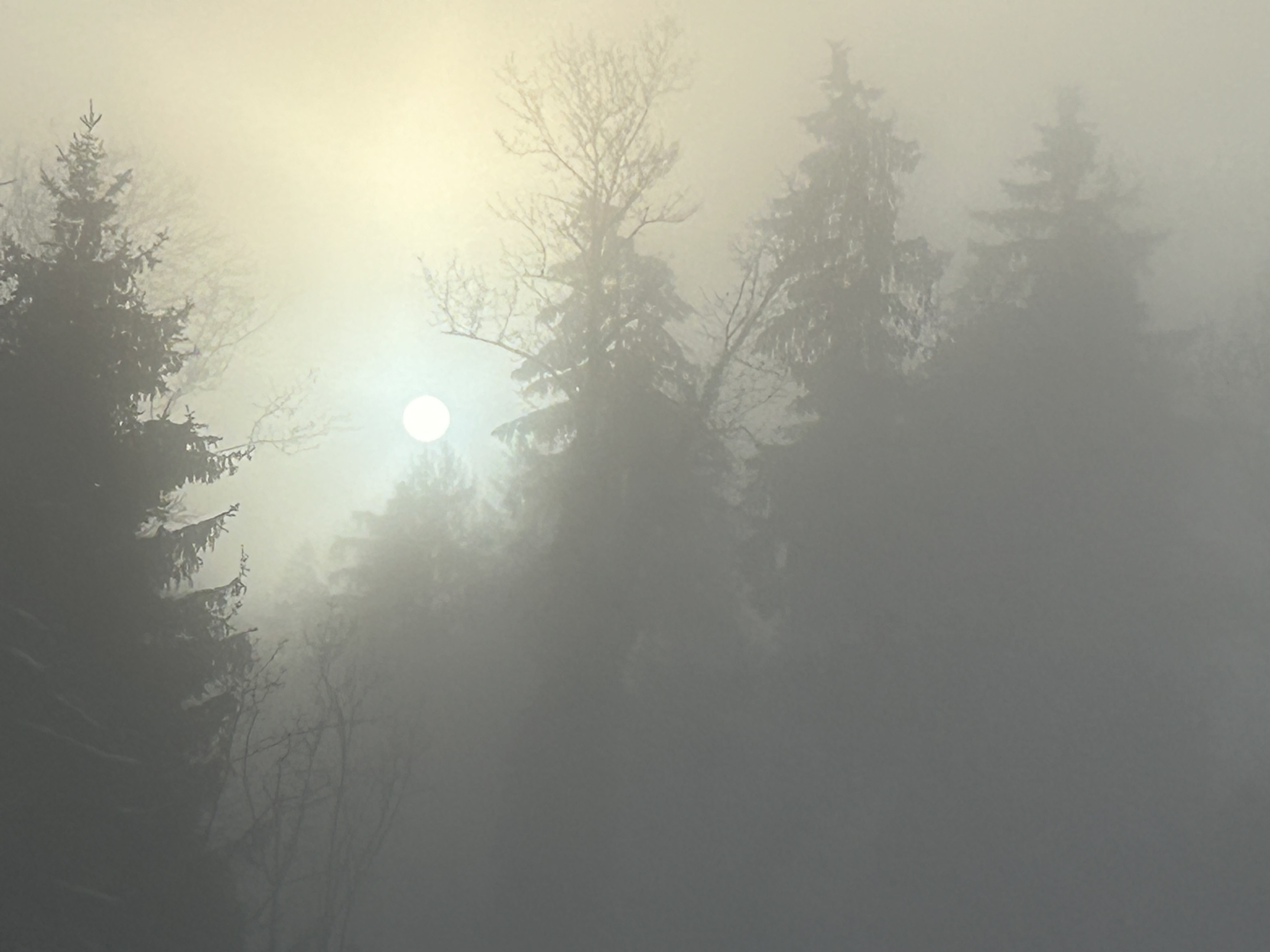 Cover image for Aspartam - immer wieder verteufelt