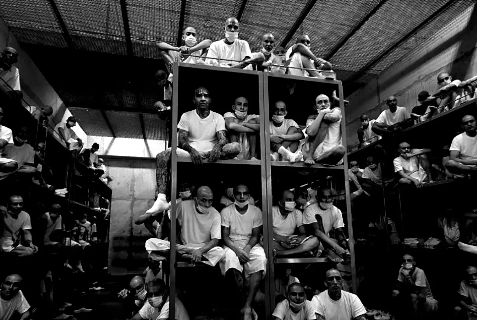 Cover image for Bukeles Blaupause