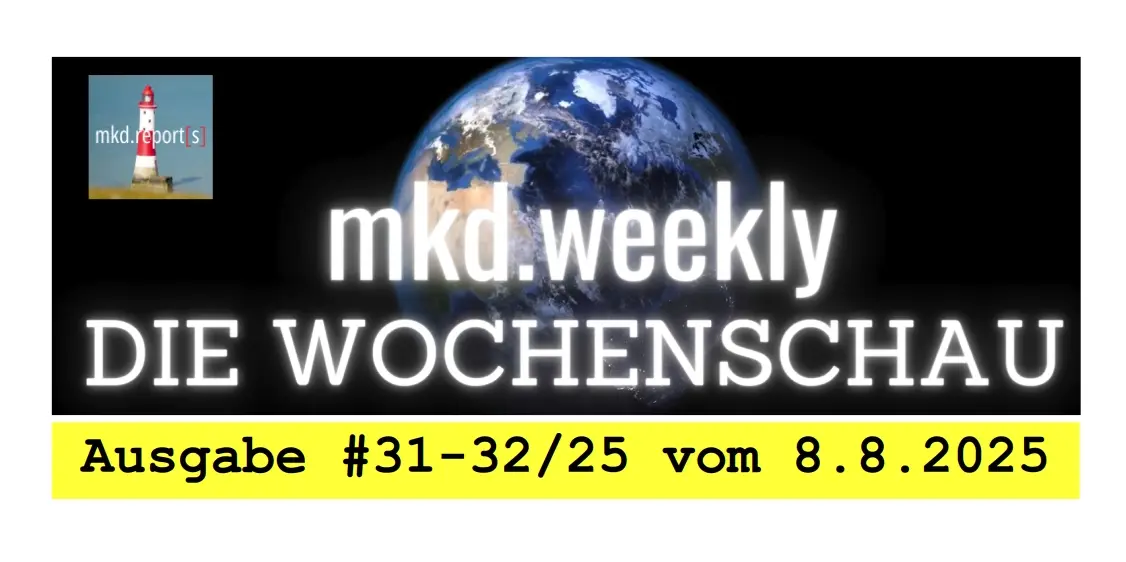 Cover image for Vom Wahnsinn, notwendenden Utopien & Staatsterror