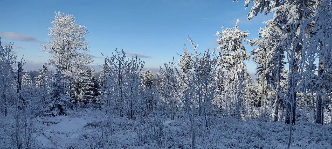 Cover image for Freie Medienakademie XV