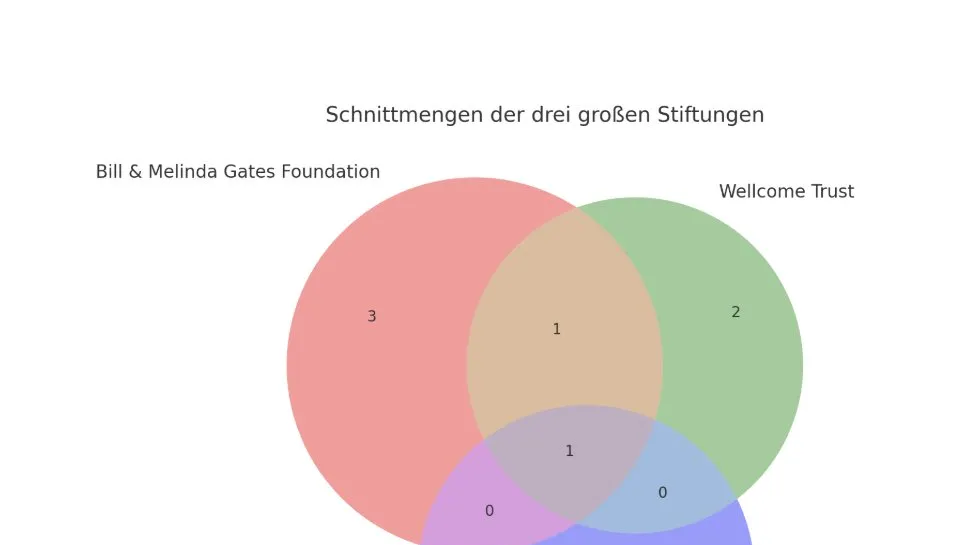 Cover image for WHO: Globale Agenden von privatem Stiftungsblock bestimmt