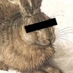 Cover image for Feindbilder 