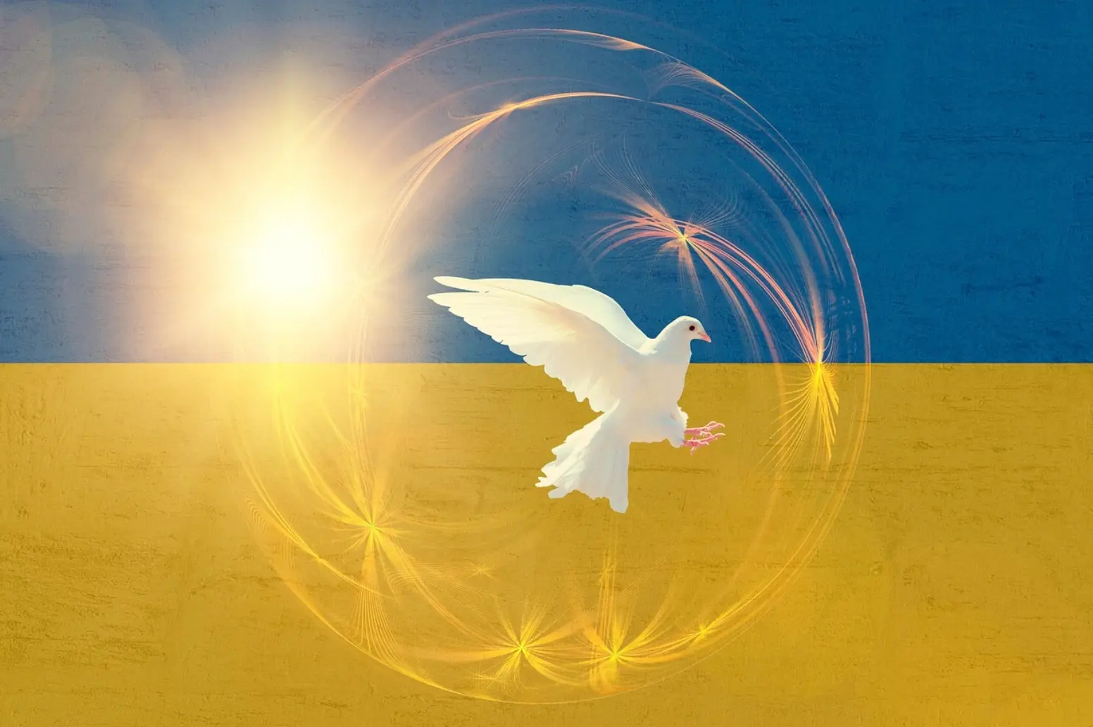Cover image for EU-Beitritt der Ukraine bedeutet: Deutsche Soldaten an die Front und wirtschaftliches Desaster