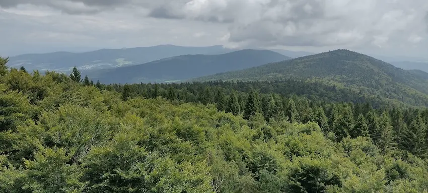 Cover image for Rettet den Bayerwald!