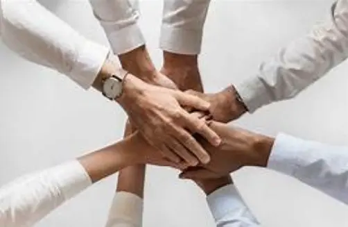 Cover image for Genossenschaften: Keimzellen der Regionalgesellschaft